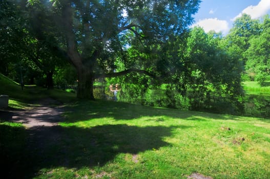 Green summer park. Blue sunny sky