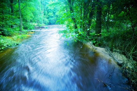 Fast stream running in the forest