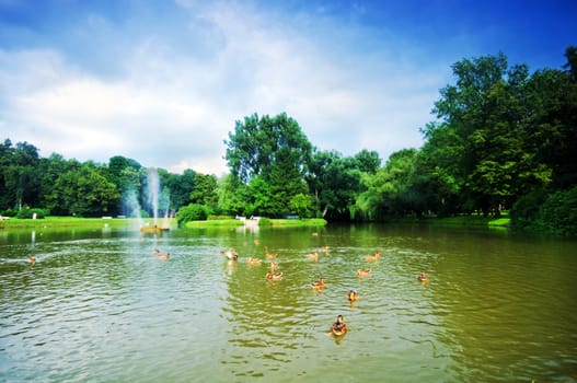 Charming summer park with pond