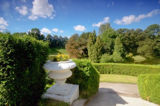 Green summer park. Blue sunny sky