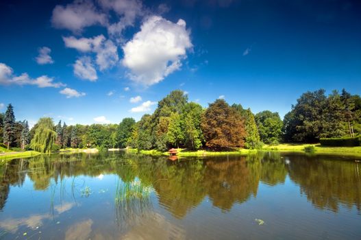Colorful autumn summer park with lake