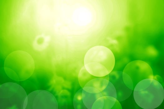 Nature blur background. Spring / summer sunny day