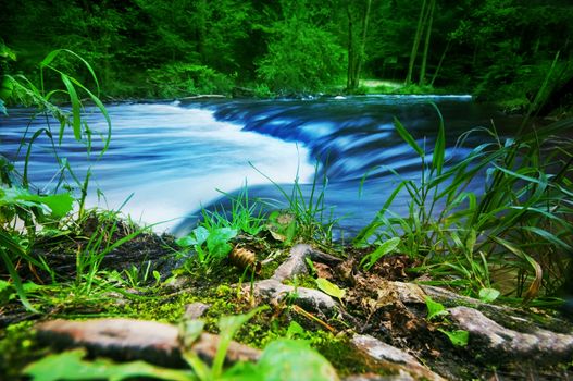Fast stream running in the forest