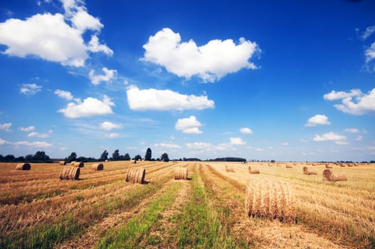 Haystacks in the field. Harvest