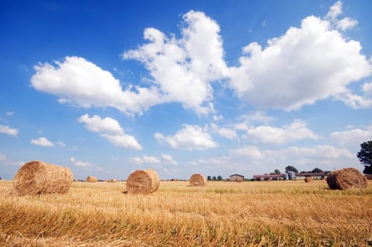 Haystacks in the field. Harvest