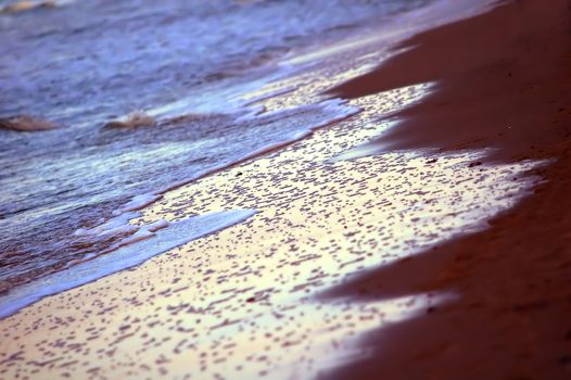 Beautiful ocean in gold sunshine