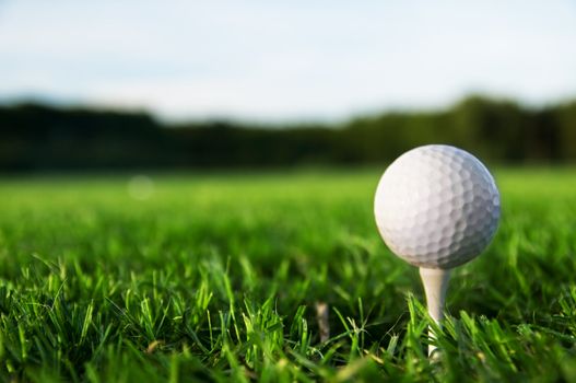 Golf ball on tee. Green grass, blue sky.