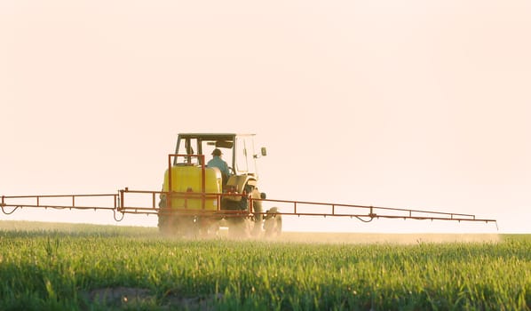 Spraying the Crop. Focus on tractor