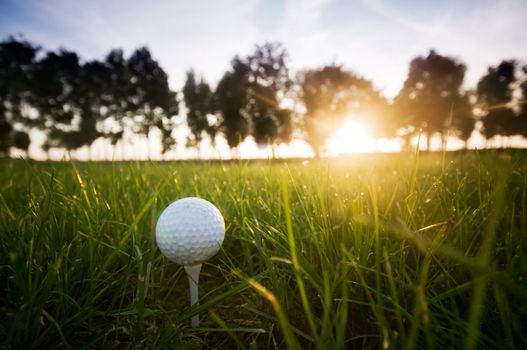 Golf ball on tee. Green grass, sunset sky