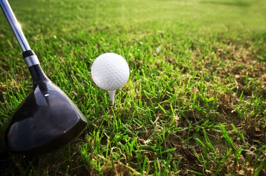 Playing golf. Golf club and ball. Preparing to shot