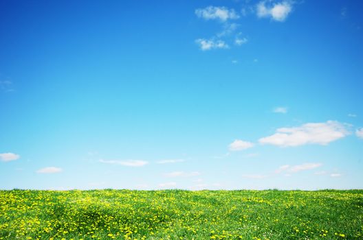 Green grass and blue sky landscape