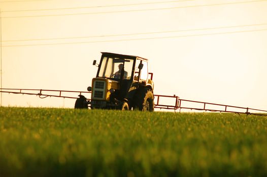 Spraying the Crop. Focus on tractor