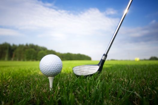 Playing golf. Golf club and ball. Preparing to shot