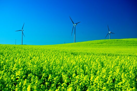 Wind turbines. Energy. Beautiful meadow