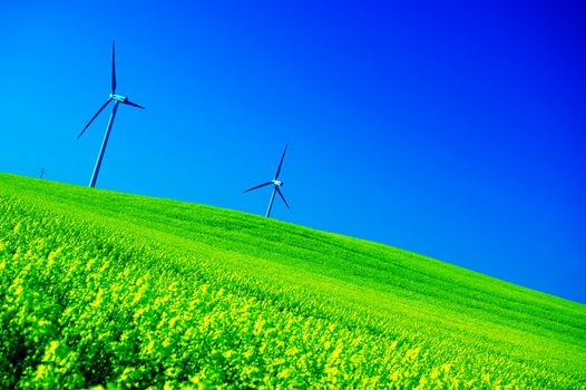 Wind turbines. Energy. Beautiful meadow