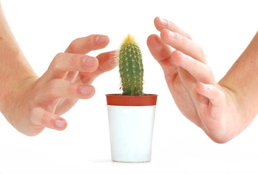 Care about new life. Isolated conceptual image