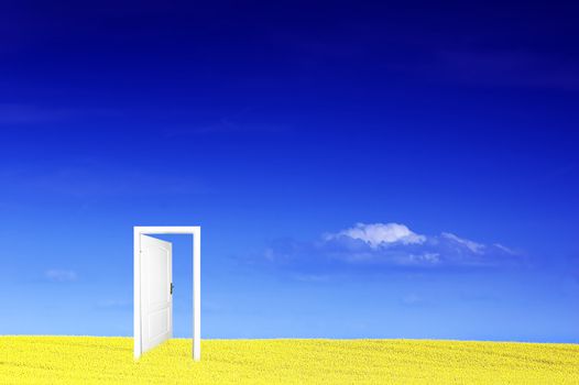 Door to new world. Ready to use or edit