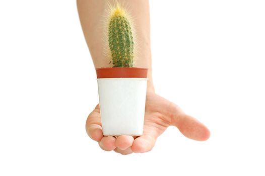 Care about new life. Isolated conceptual image