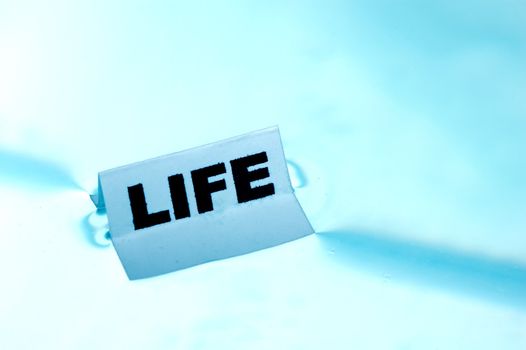 Card floating on water surface with printed word: LIFE