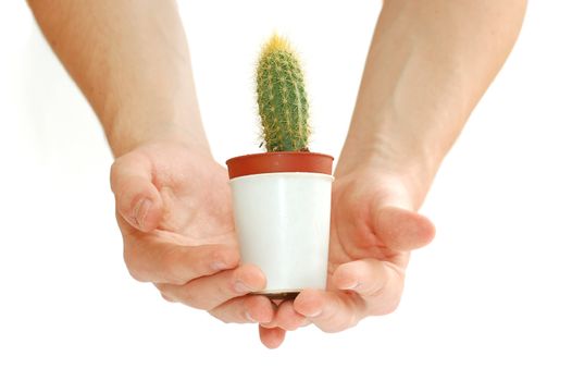 Care about new life. Isolated conceptual image