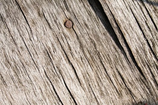 Wooden old wall with a nail