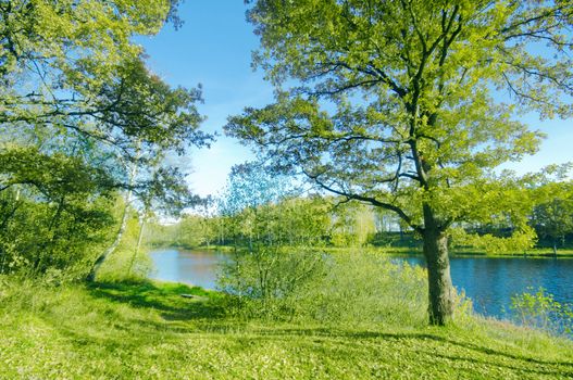 Green summer park, blue sky, lake