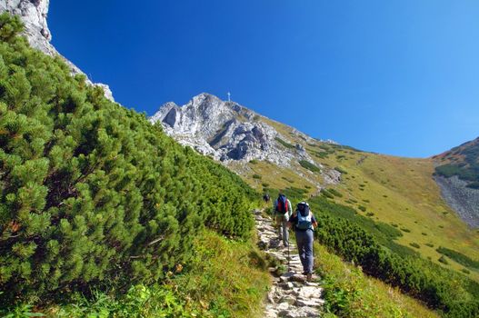 Mountains landscape. Tatra colorful picture