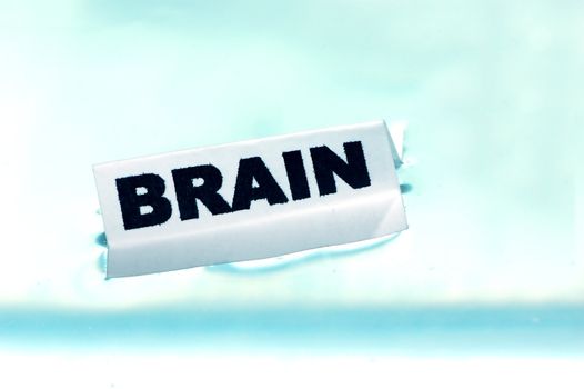 Card floating on water surface with printed word: BRAIN