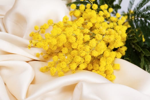 Acacia blossom on fine silk