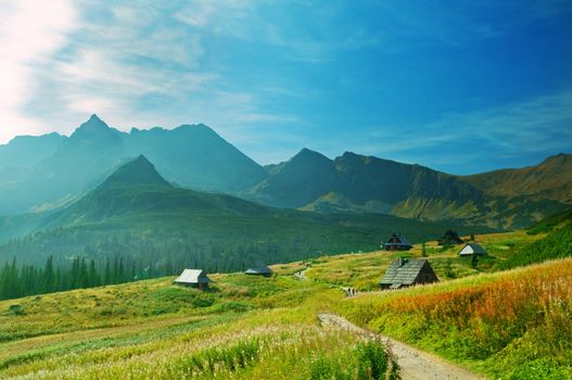 Mountains landscape. Tatra colorful picture