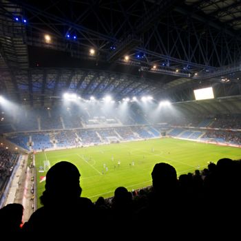 Silhouettes of fans celebrating a goal on football / soccer match