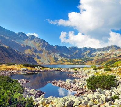 Mountains landscape. Tatra colorful picture