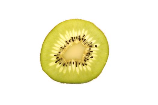 backlit kiwi slice isolated on a white background