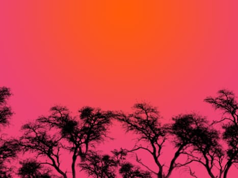 An illustration of tree silhouettes over a red sky at night.