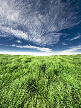 Blue sky with high green grass horizon shot. Suitable for design background.

Location: Nanos, Slovenija.