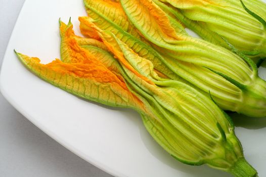 Zucchini flowers on white plate