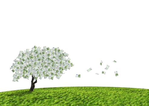Concept of a cash tree with falling 100 Euro banknotes leaves.

Composite shot.