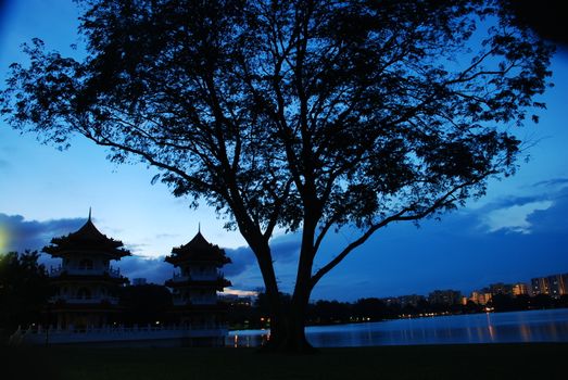 View of a tree silhouetted against the blue sky in a garden. Taken at Chinese Garden Singapore