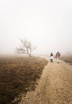 Foggy day on a hill with a couple hiking towards a leafless tree.