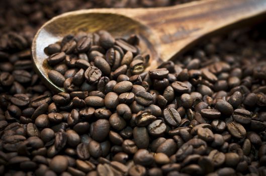 Coffee Beans spilling from a wooden spoon.