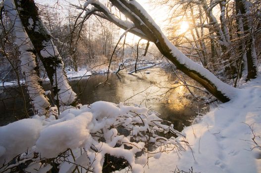 Winter forest sunset, lots of snow