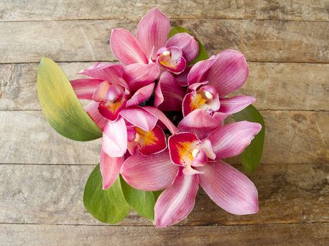 Bouquet of pink orchid on wooden background