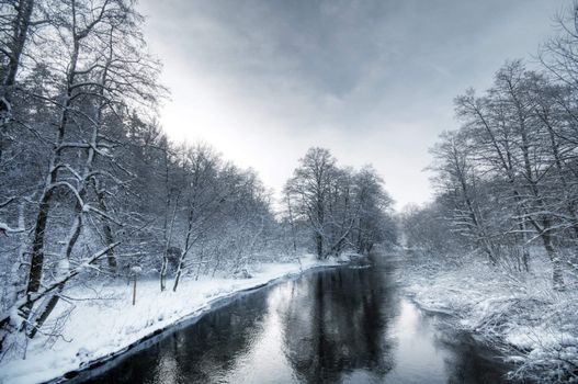 Winter forest sunset, lots of snow