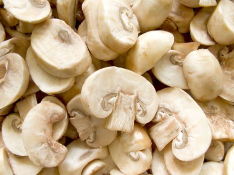 Pile of fresh sliced Champignon Mushroom close up