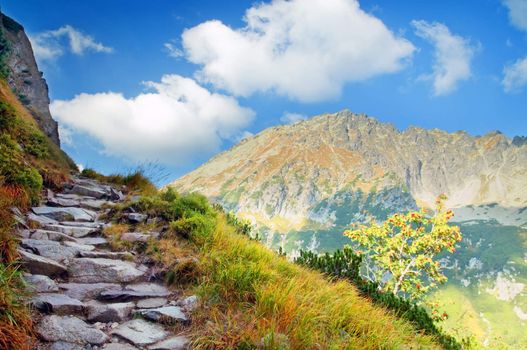 Mountains landscape. Tatra colorful picture