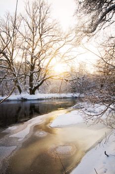 Winter forest sunset, lots of snow