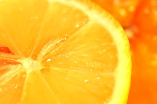 Fresh orange background, Citrus fruits