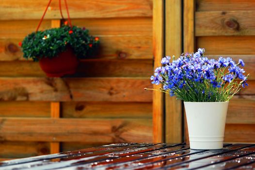 Outdoor design composed with natural wooden furniture and flowers