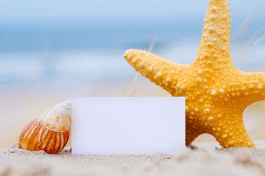Blank white card for your message with a starfish and shell on summer beach