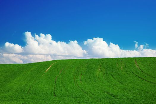 Green summer landscape with blue sky and puffy clouds